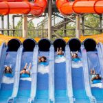 Parks amusement family vacation summer families